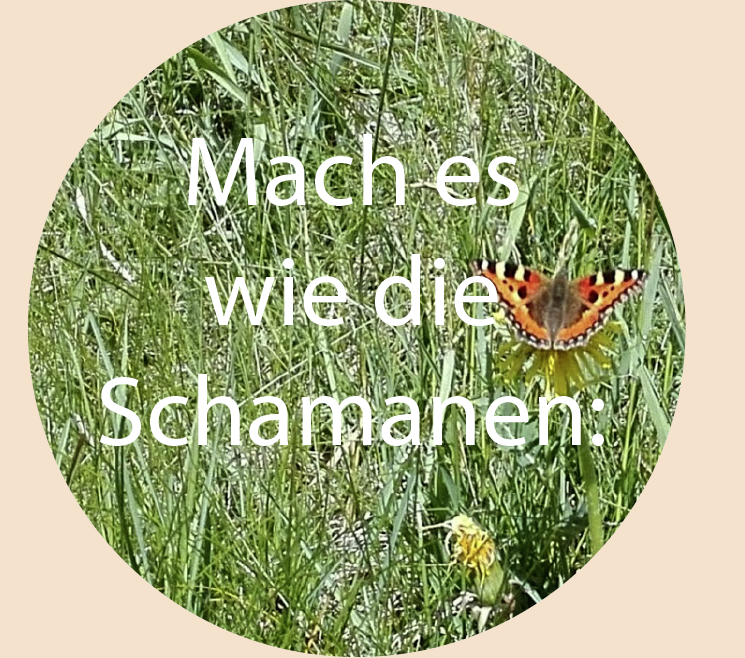 macheeswiedieschamanen