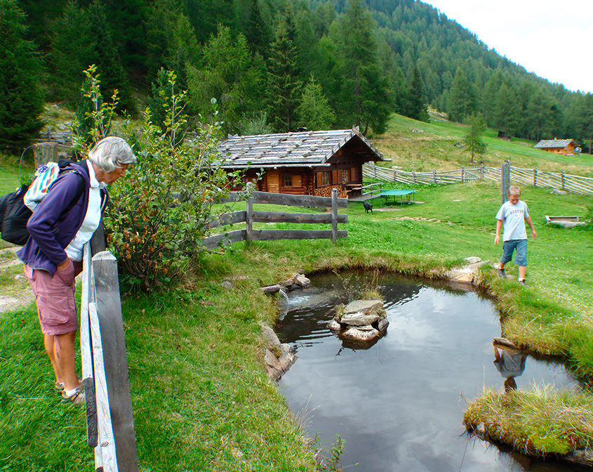 Auf der Alm - innerFitness® Ferien in Ulten