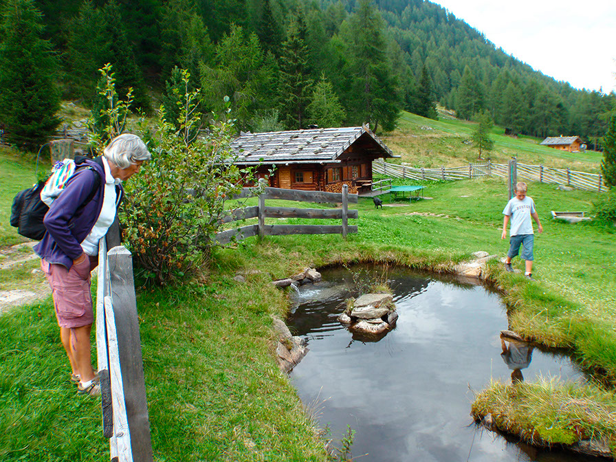 Auf der Alm - innerFitness® Ferien in Ulten